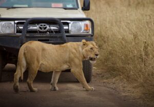 Private Tanzania safari itinerary vacation