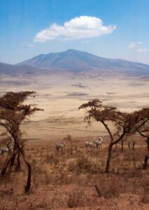 Serengeti safari Ngorongoro cost