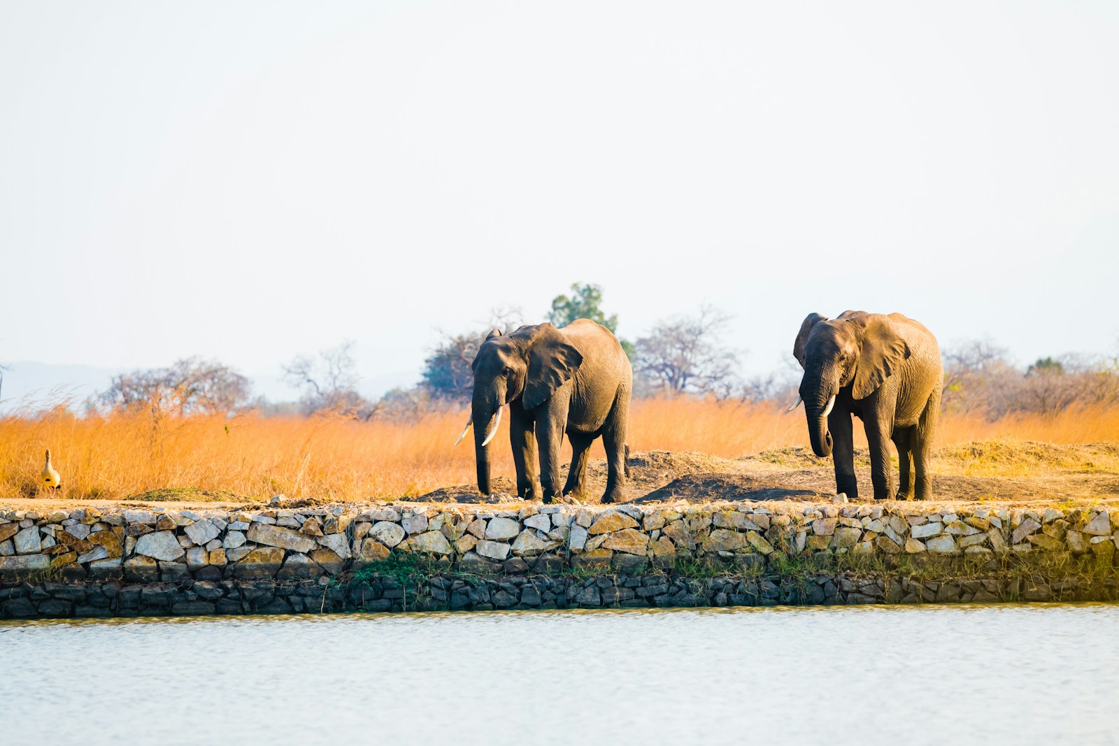 Tanzania wildlife safari Northern Circuit itinerary