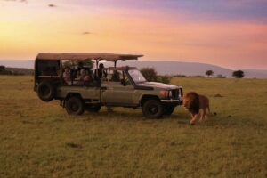 Family Tarangire safari cost
