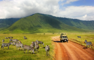 luxury Lake Manyara safari itinerary