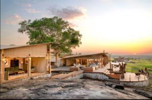 Premium Tanzania Safari Vacation
