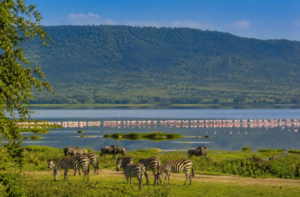 group Lake Manyara safari experience