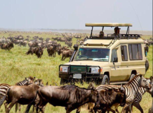 Group Serengeti Safari Adventure
