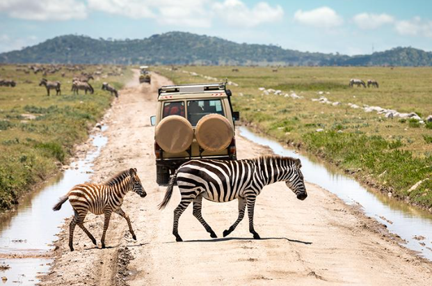All inclusive Serengeti safari cost