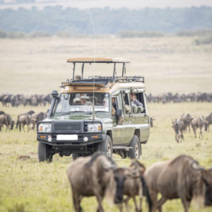 private Tanzania safari tour experience