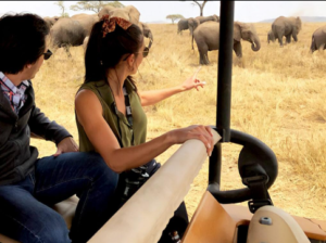 Honeymoon Tanzania wildlife safari planning