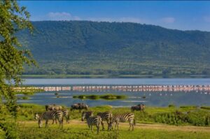 Guided Lake Manyara safari holiday