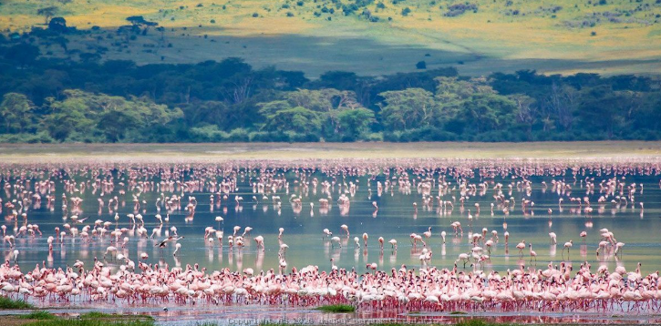 Ruaha safari Lake Manyara