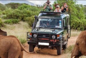 Tanzania safari tour Southern Circuit experience