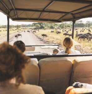 Ruaha Tanzania safari itinerary
