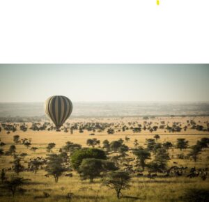 Serengeti safari Southern Circuit travel guide
