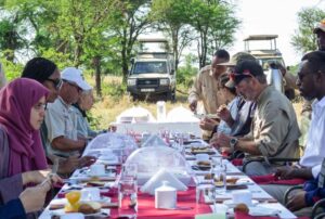 Family Tanzania wildlife safari deal