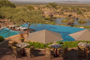 Luxury Tanzania Wildlife Safari Packages