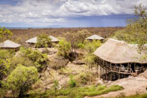 Tanzania safari itinerary Ruaha tours