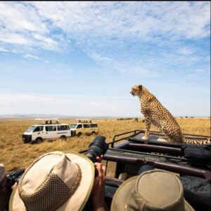Serengeti Safari Ruaha Adventure