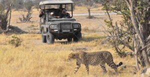Tanzania safari tour Arusha operator