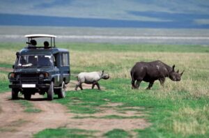Photography Tanzania safari deal