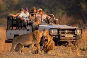 Tanzania safari cost Serengeti adventure