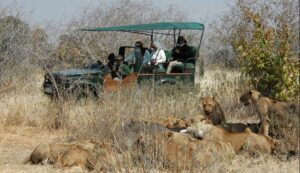 group Tanzania wildlife safari trip