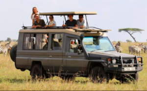 Group Tarangire safari travel guide