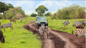 Fly in Tanzania safari itinerary packages