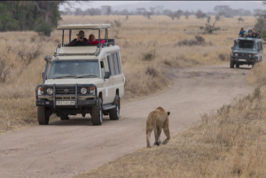 top Tanzania safari package holiday