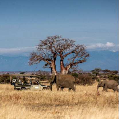 Tarangire safari vacation