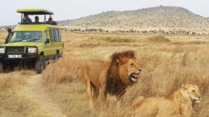 Premium Ngorongoro Crater
