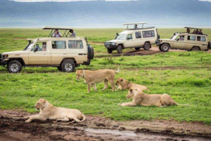 Ruaha safari Ruaha itinerary