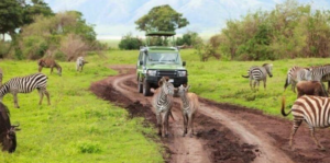 Tanzania safari itinerary Tanzania deal
