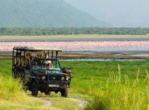 Best Tanzania Safari Deal