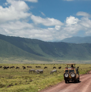Ngorongoro Crater safari Serengeti deal