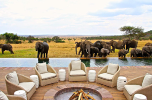premium Tanzania safari holiday