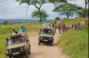 Tanzania safari cost Tanzania deal