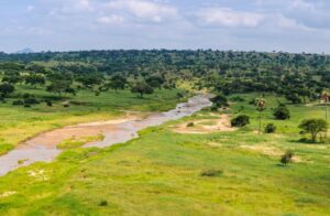 Best Tarangire Safari Packages