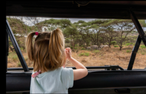 Family Lake Manyara safari deal
