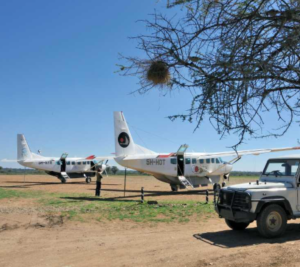 fly in Tanzania safari deal