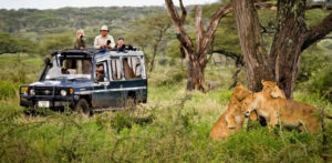 family Tarangire safari experience