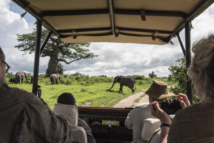 cheap Tanzania safari package packages