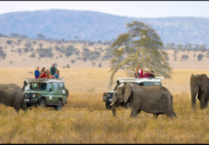 Tanzania safari tour Ruaha cost
