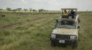exclusive Ruaha safari holiday