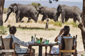 Tanzania safari tour Serengeti tours