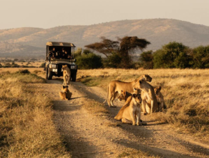 family Nyerere national park safari adventure