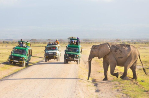 Lake Manyara safari Tarangire adventure