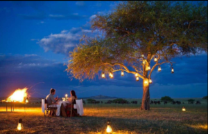 Honeymoon Ngorongoro Crater safari tours