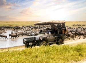 Tanzania safari cost Nyerere price