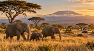 Tanzania safari tour Tarangire adventure