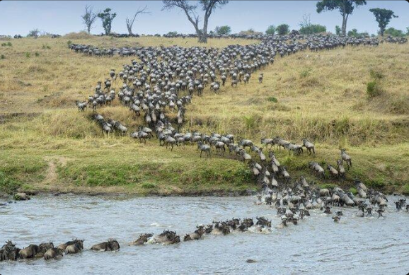 Serengeti safari Serengeti itinerary.