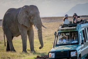 Tanzania safari Southern Circuit experience.